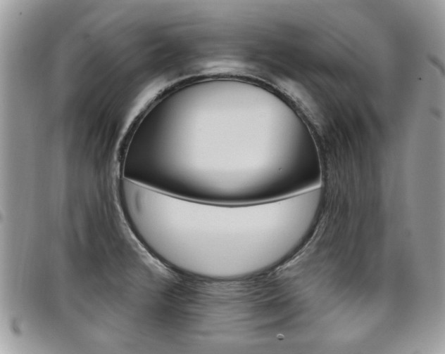 X0000097971376200803241010