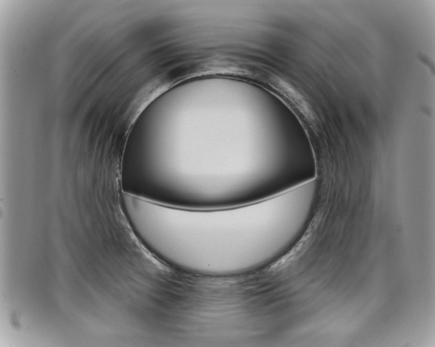 X0000097971377200803241010