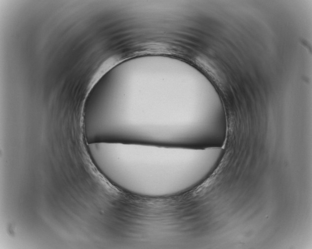 X0000097971378200803241010