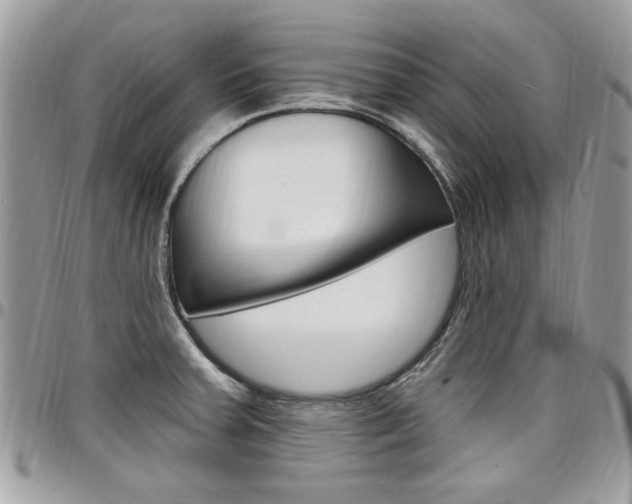 X0000097971379200803241010