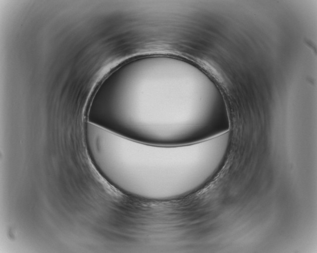 X0000097971380200803241010