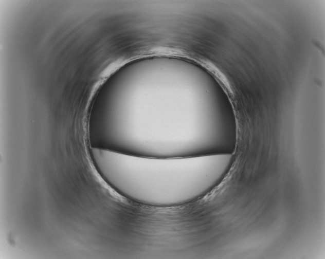 X0000097971381200803241010