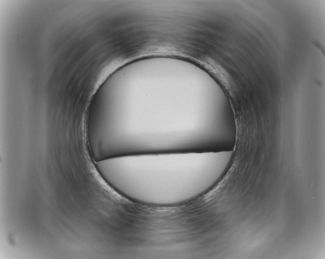X0000097971382200803241010