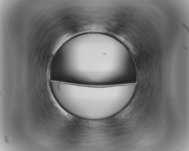 X0000097971383200803241010