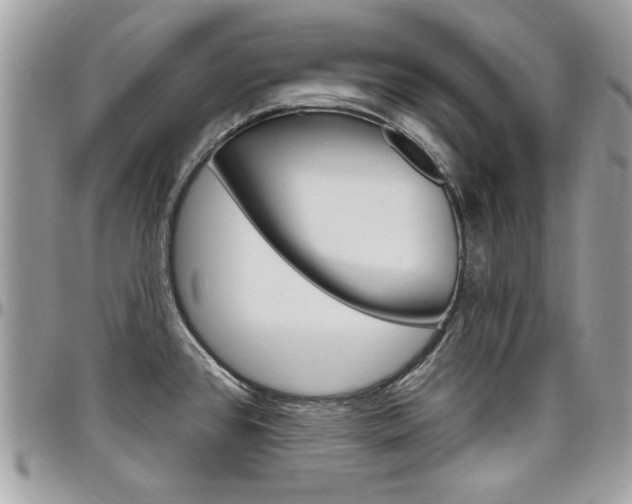 X0000097971384200803241010