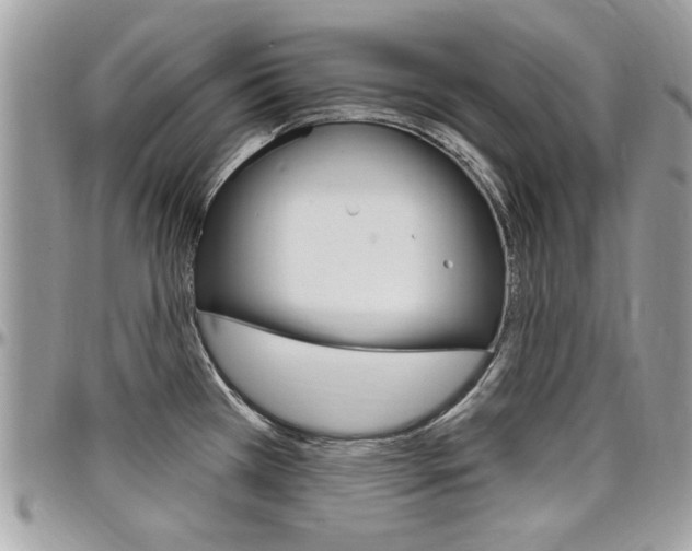 X0000097971385200803241010