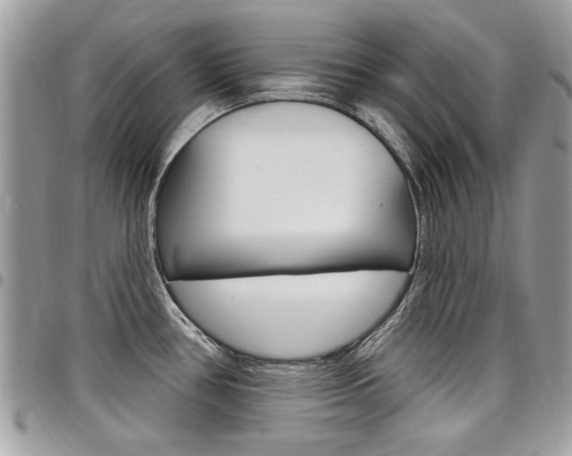 X0000097971386200803241010