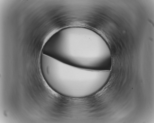 X0000097971387200803241010