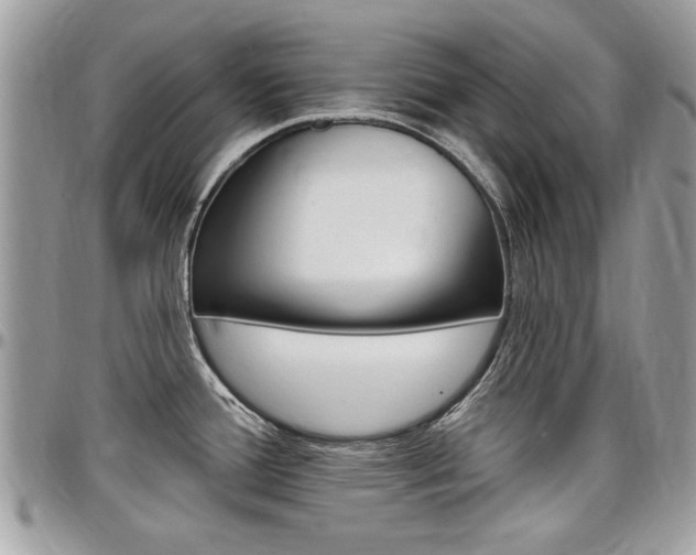 X0000097971388200803241010