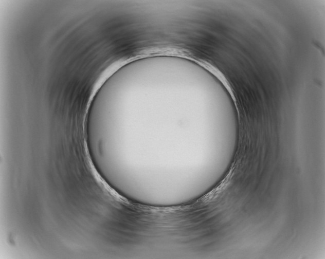 X0000097971389200803241010