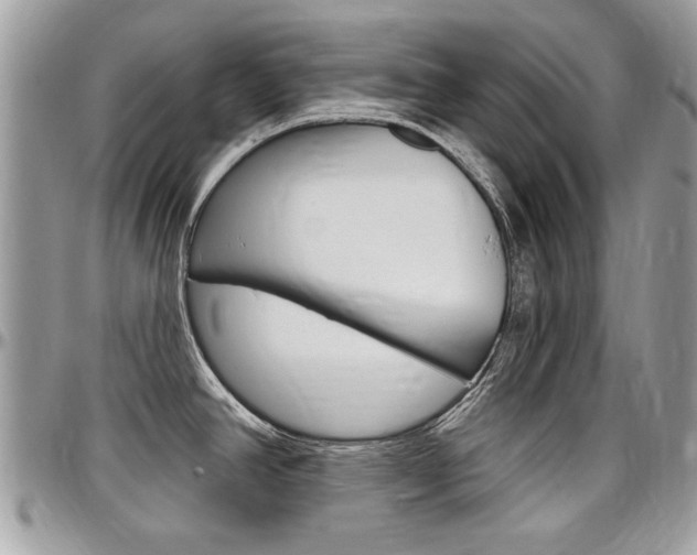 X0000097971390200803241010