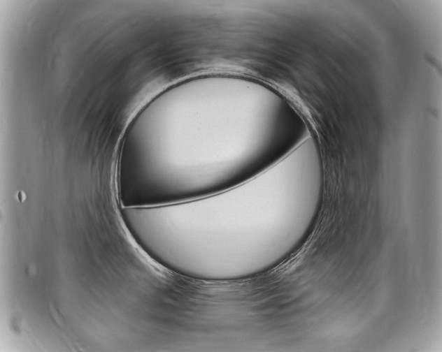 X0000097971391200803241010