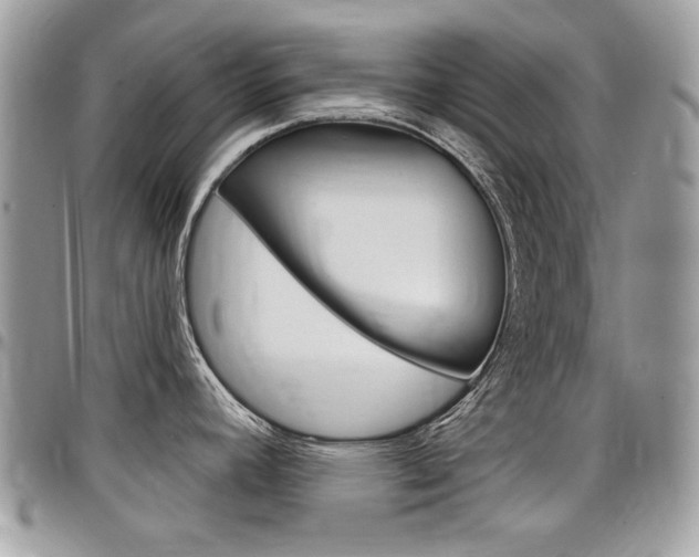 X0000097971392200803241010