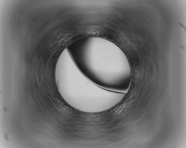 X0000097971394200803241009