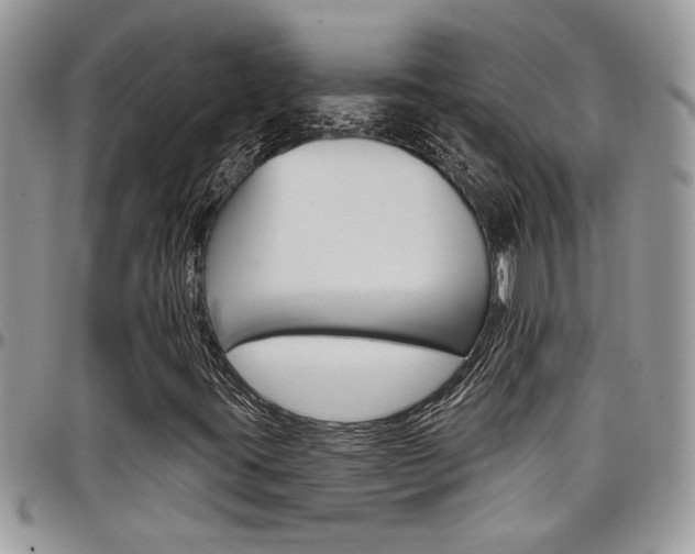 X0000097971395200803241009