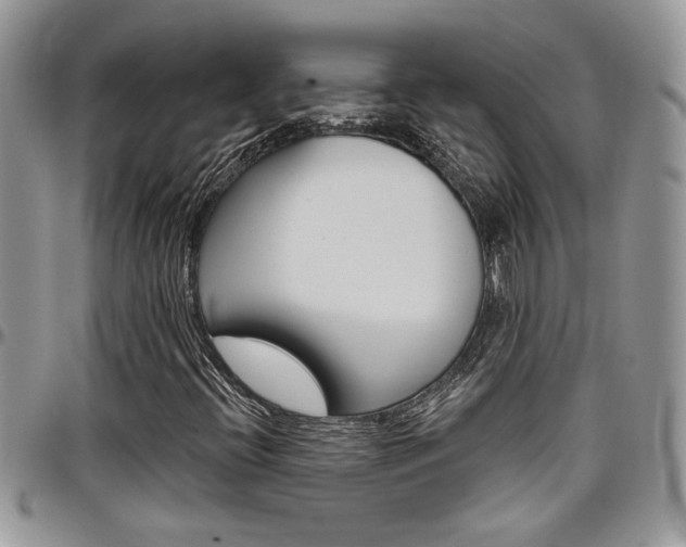 X0000097971396200803241009