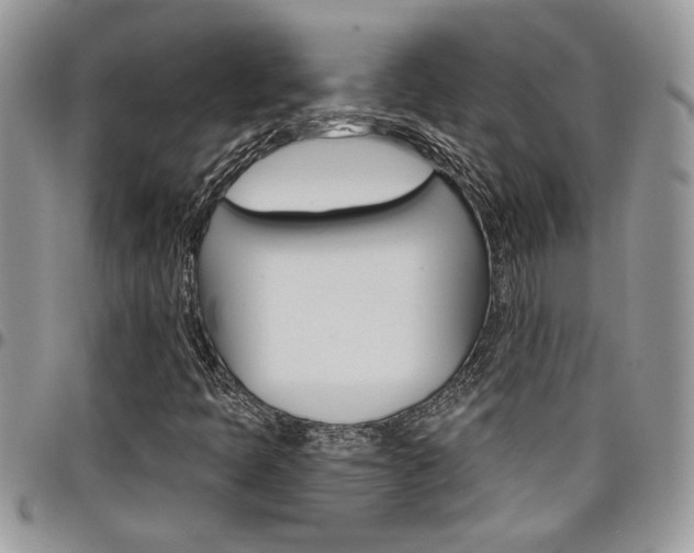 X0000097971397200803241009