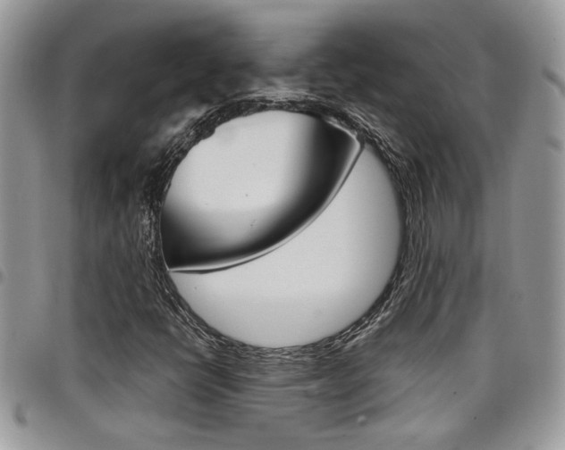 X0000097971398200803241009