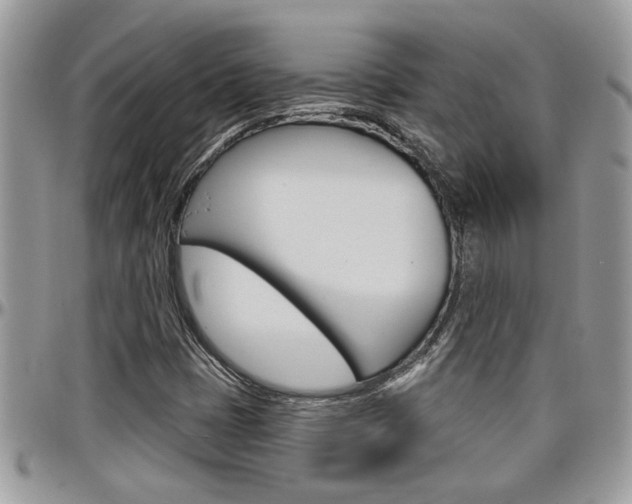 X0000097971401200803241009