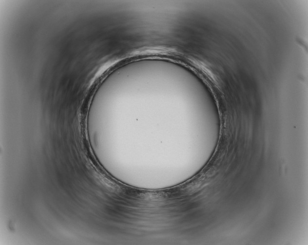 X0000097971404200803241009