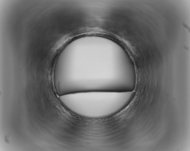 X0000097971407200803241009