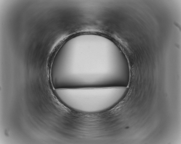 X0000097971408200803241009