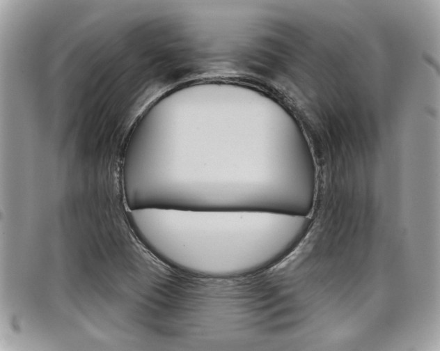 X0000097971409200803241009