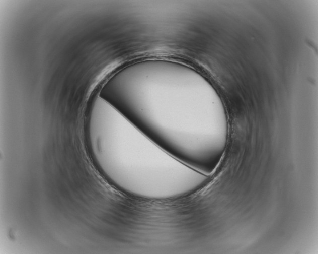 X0000097971410200803241009