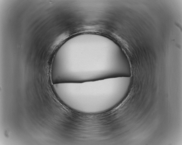 X0000097971411200803241009