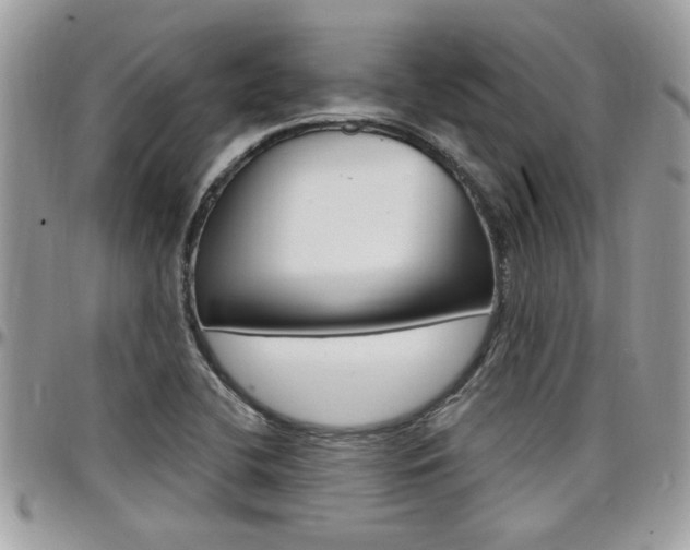 X0000097971412200803241009
