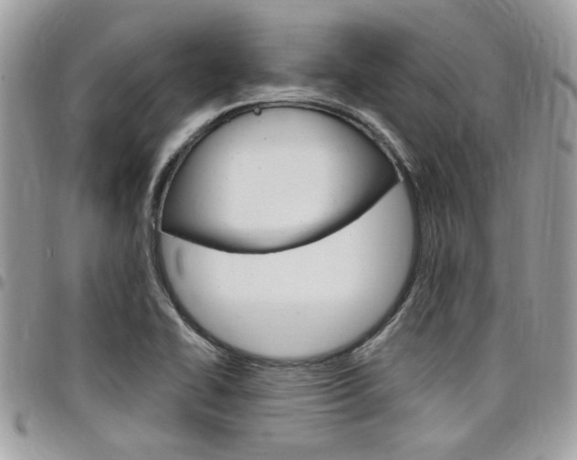 X0000097971414200803241009