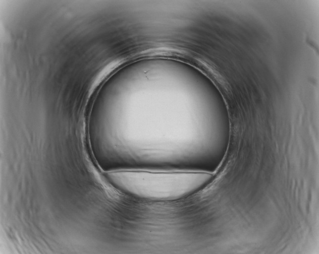 X0000097971418200803241009