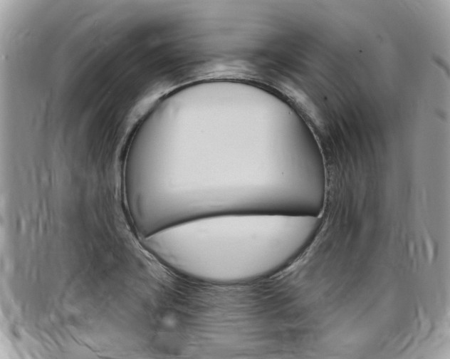 X0000097971419200803241009