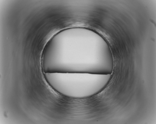 X0000097971423200803241009