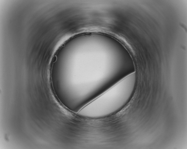 X0000097971424200803241009