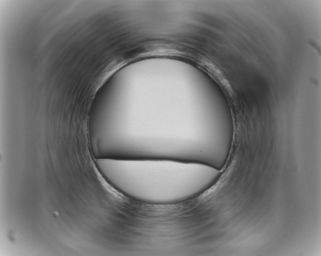 X0000097971425200803241009
