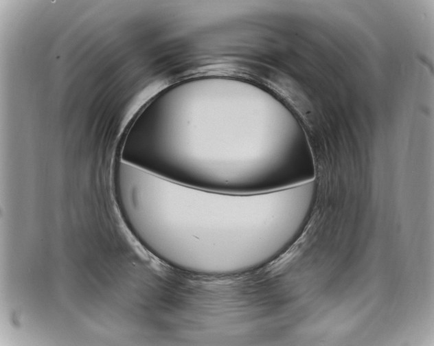 X0000097971426200803241009