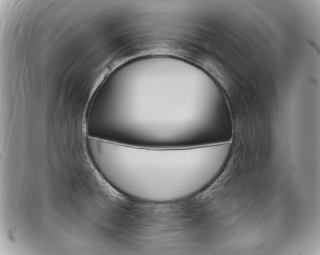 X0000097971428200803241009