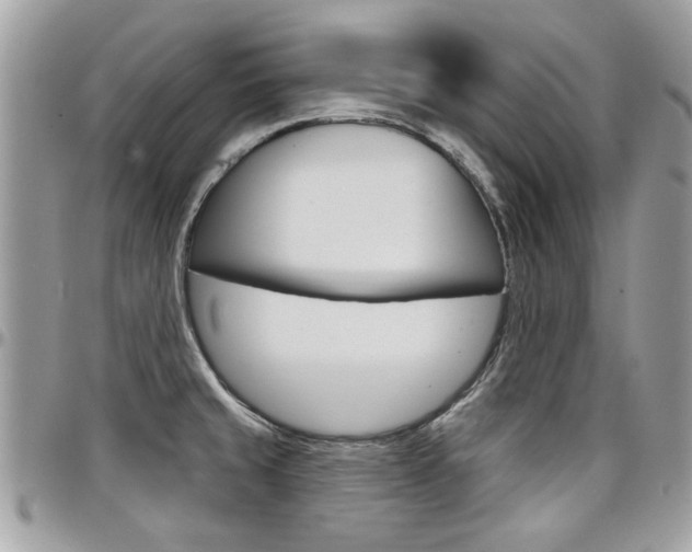 X0000097971429200803241009