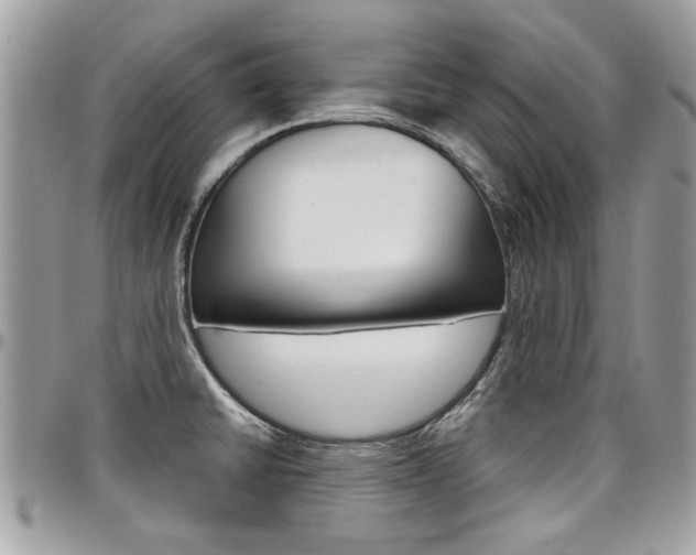 X0000097971430200803241009