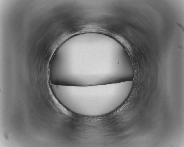 X0000097971431200803241009