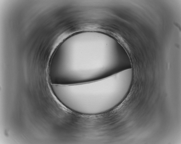 X0000097971432200803241009