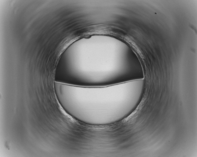 X0000097971433200803241009