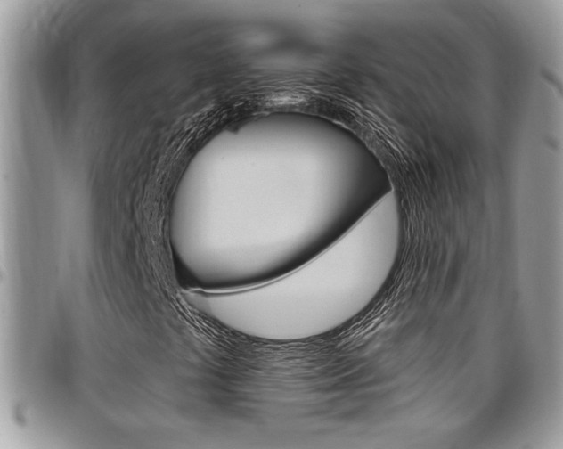 X0000097971441200803241009