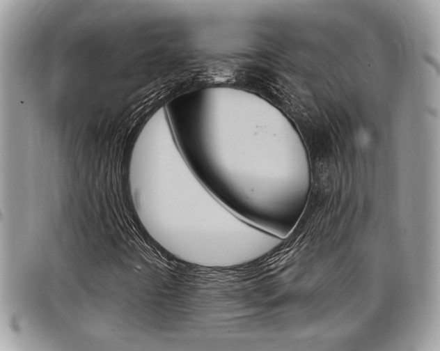 X0000097971442200803241009