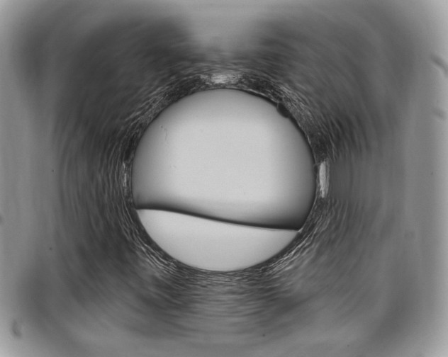 X0000097971443200803241009