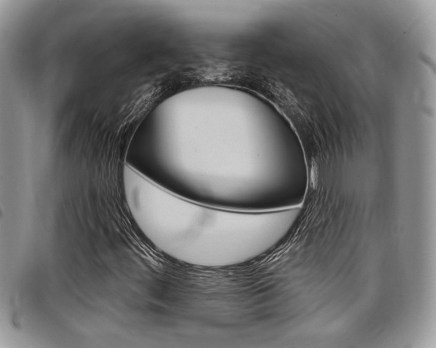X0000097971444200803241009