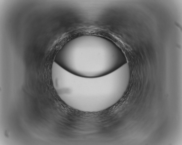 X0000097971447200803241009