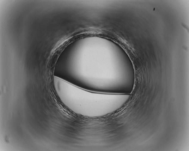 X0000097971448200803241009