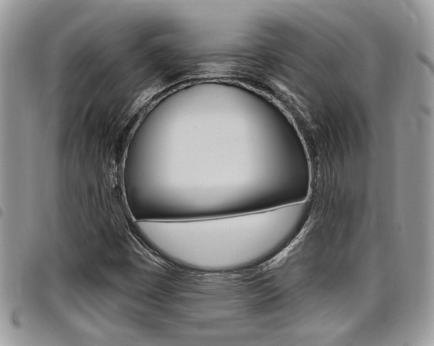 X0000097971449200803241009